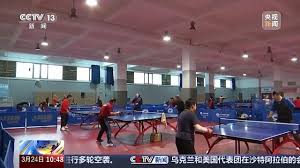 贝博中国 家用英式乒乓球台推荐